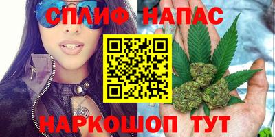 гидропоника Бугуруслан